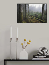 painterly wood Poster och Canvastavla