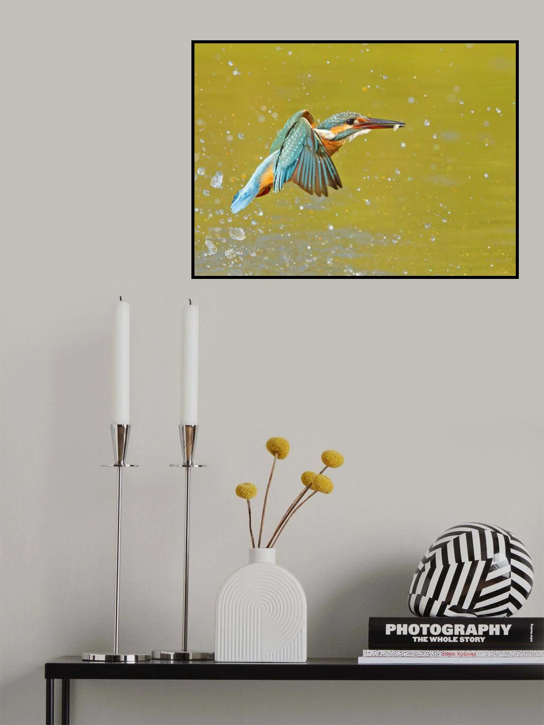KING+FISH=Kingfisher Poster och Canvastavla