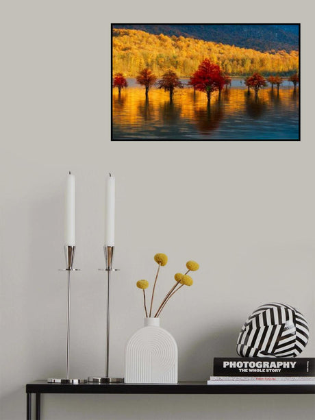 Golden sunset Poster och Canvastavla