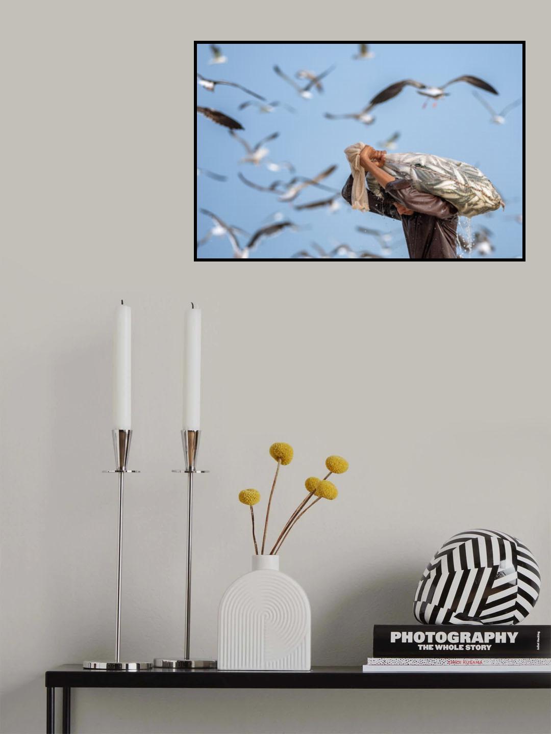 Sardine season Poster och Canvastavla