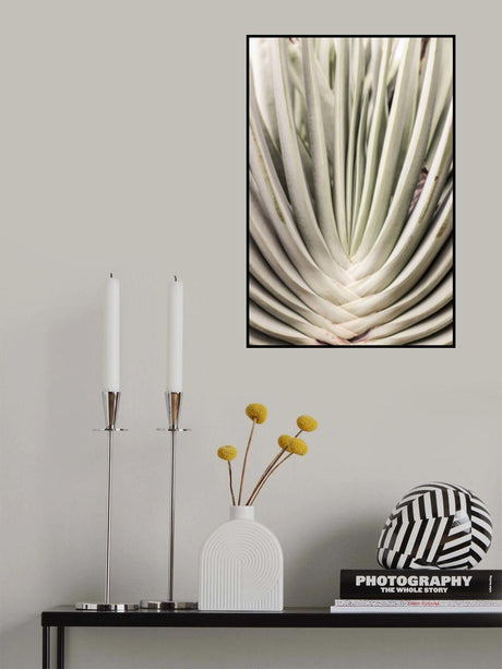 Blink Cactus Poster och Canvastavla