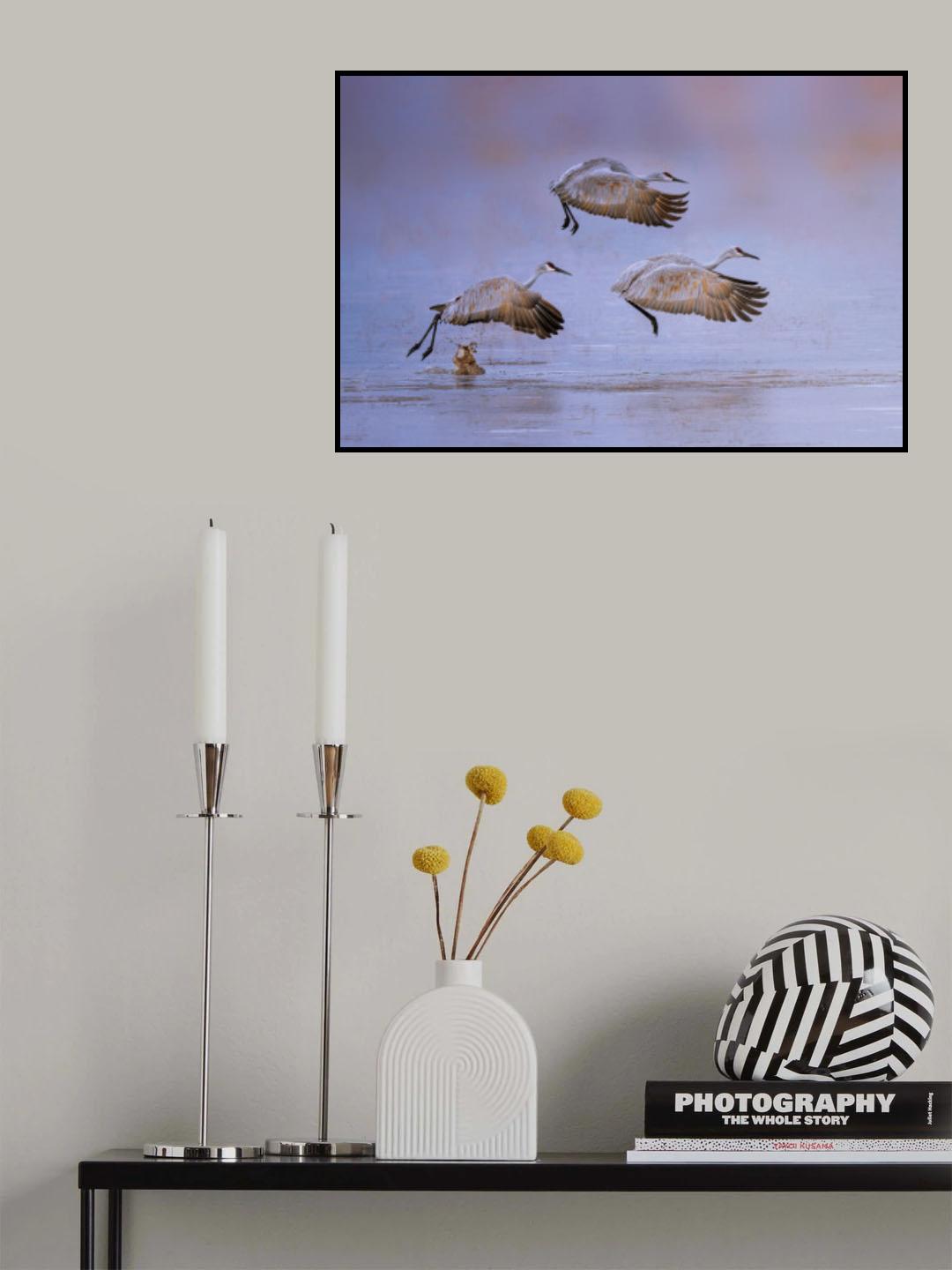 flying in rosy light Poster och Canvastavla