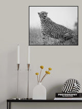 Cheetah .. Mara triangle Poster och Canvastavla