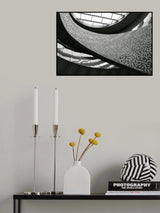 Curves Poster och Canvastavla