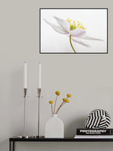 Nemorosa** Poster och Canvastavla