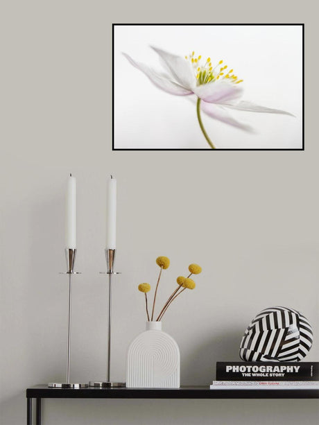 Nemorosa** Poster och Canvastavla