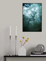 Under the sea Poster och Canvastavla