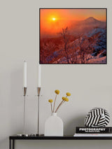 Winter-Light Poster och Canvastavla