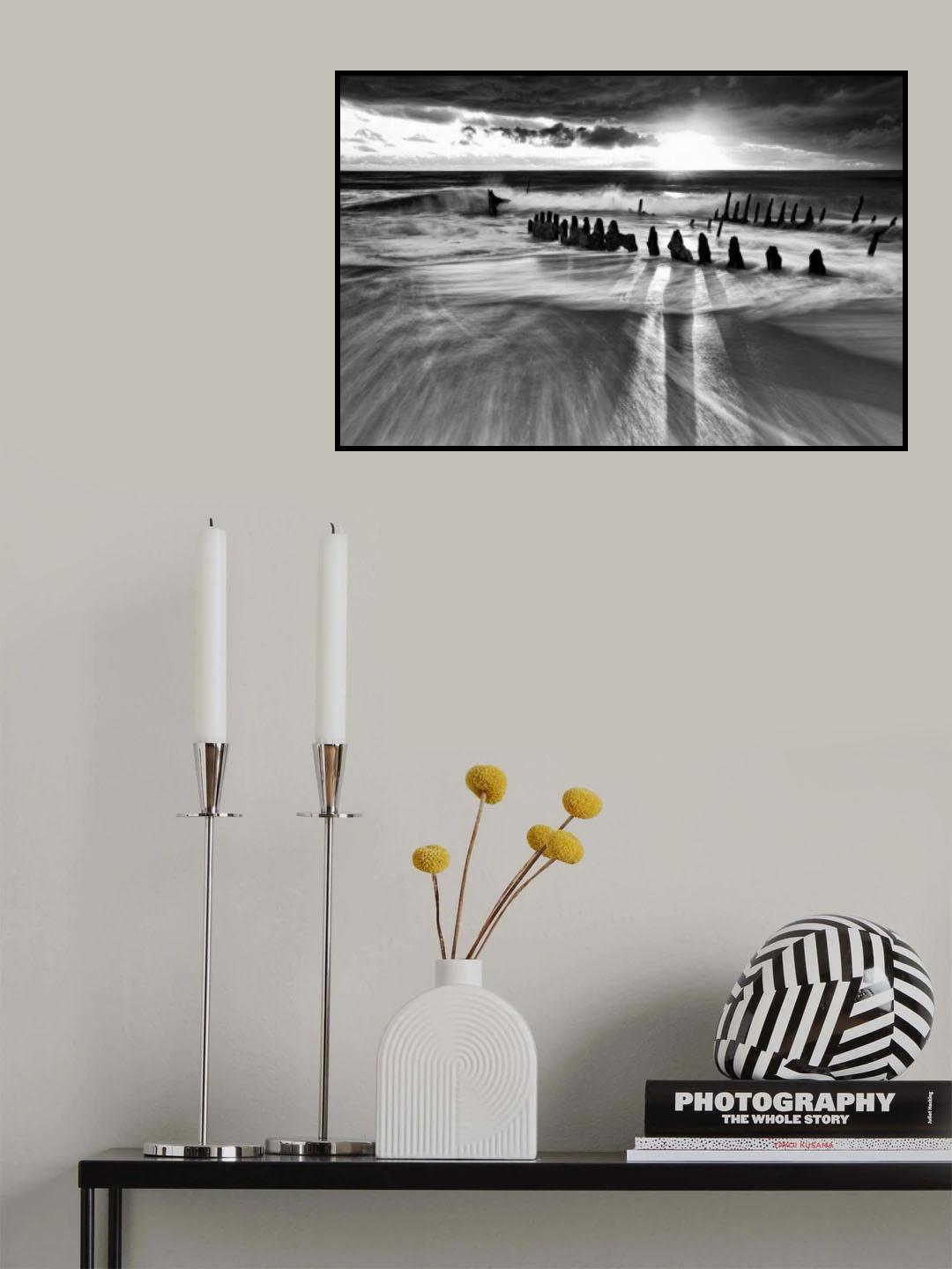 Sunlight Poster och Canvastavla