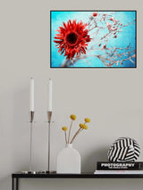 marigold Poster och Canvastavla