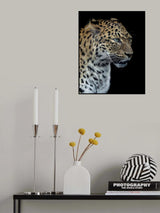 Panthere portrait version 2.0 Poster och Canvastavla