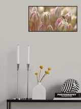 In the country of sweets... Poster och Canvastavla