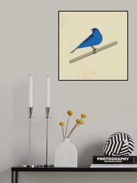 Indigo Bunting Poster och Canvastavla