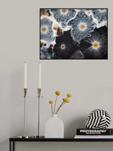 Water treatment pond abstract Poster och Canvastavla