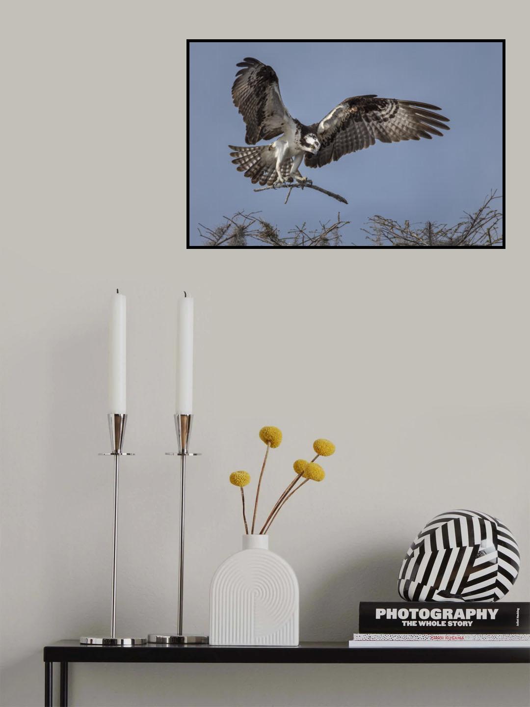 Home Renovation Poster och Canvastavla