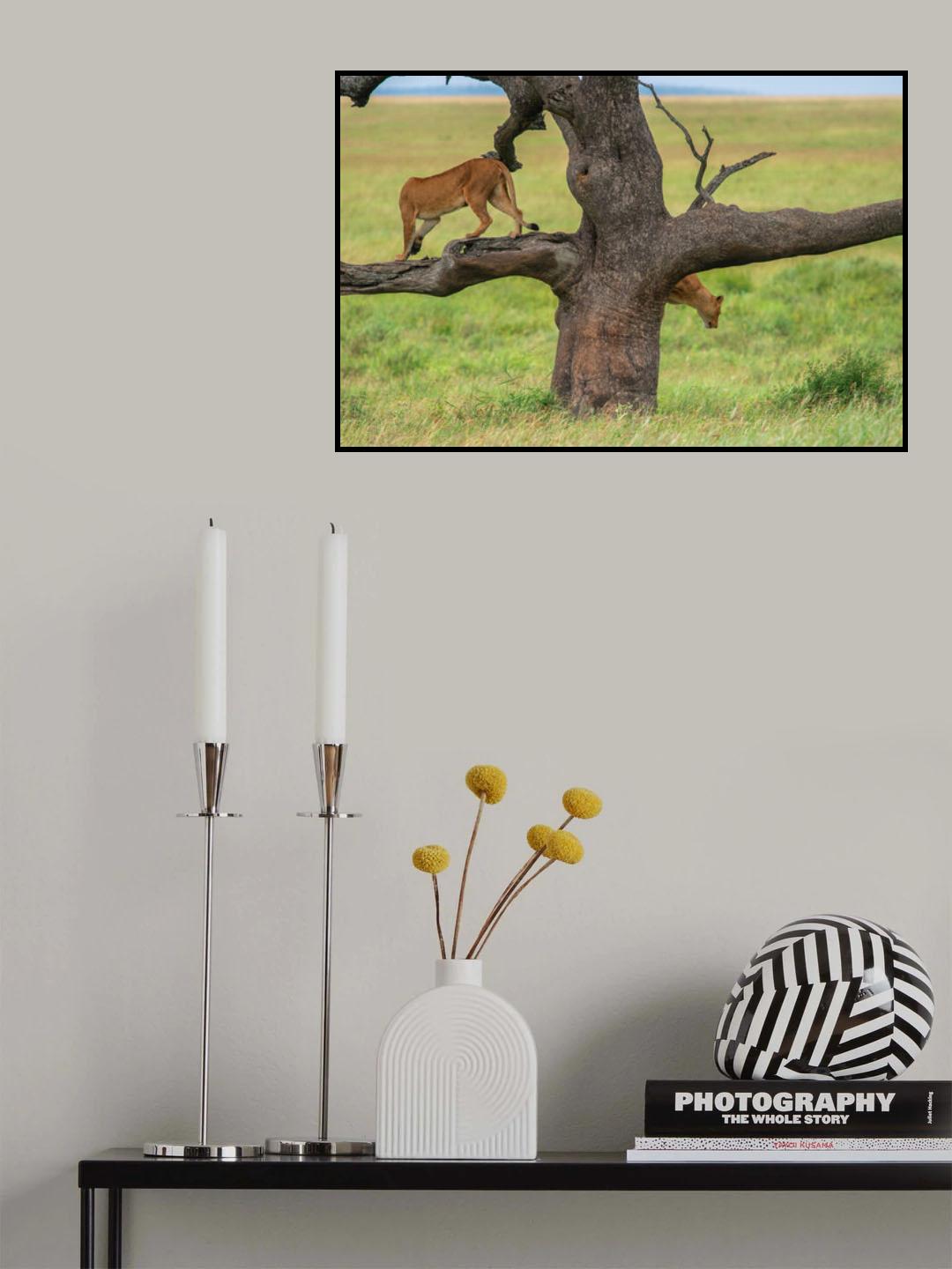 Switch Poster och Canvastavla