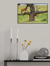 Switch Poster och Canvastavla