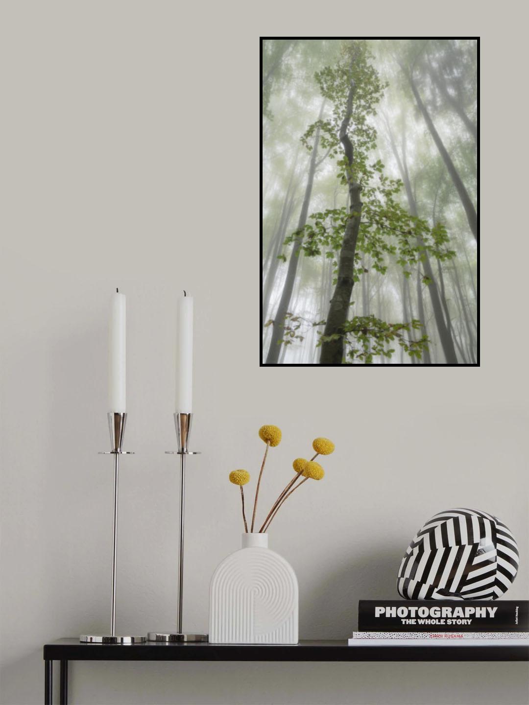 Poster och Canvastavla