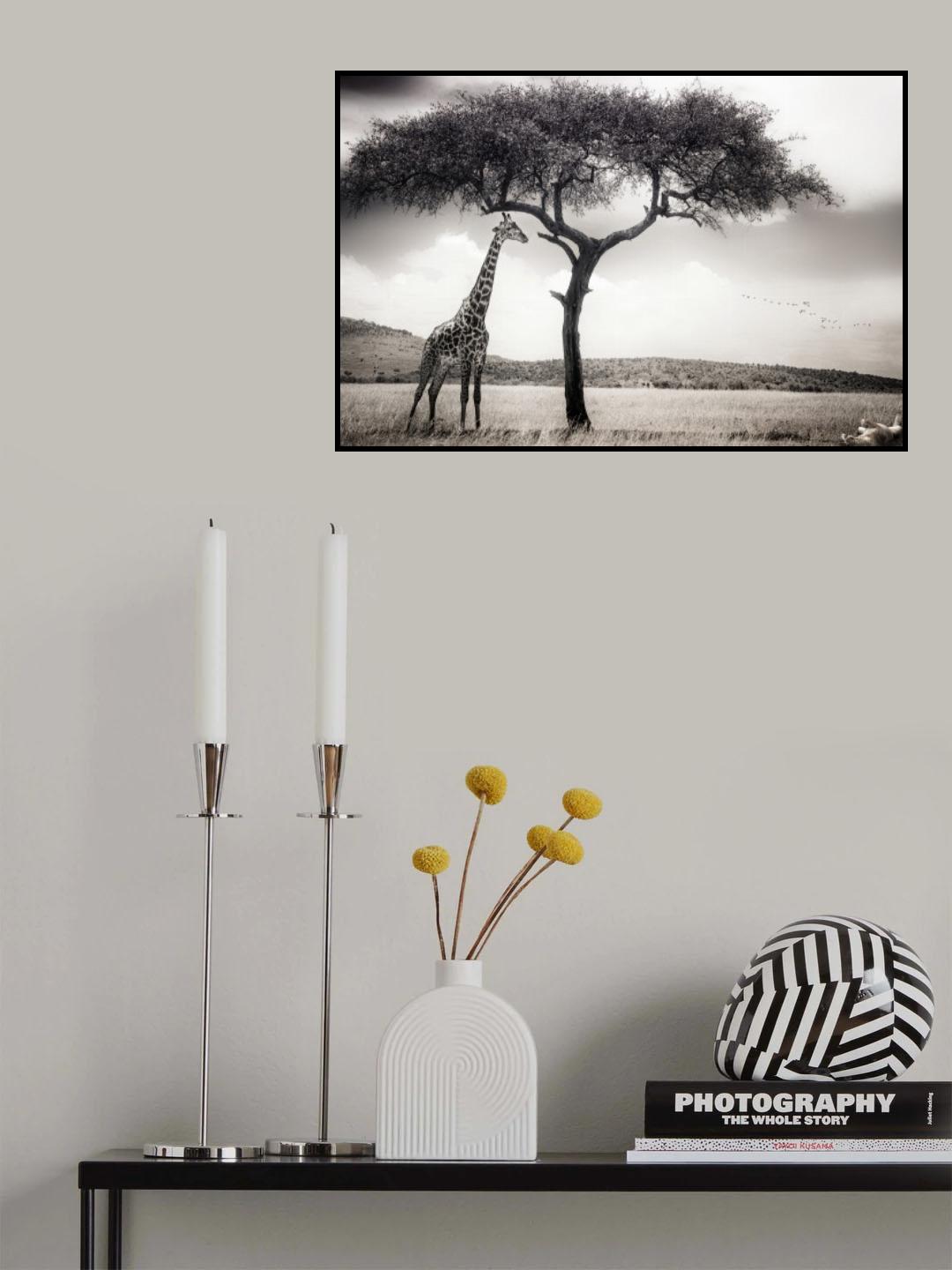 under the African sun Poster och Canvastavla