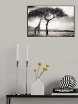 under the African sun Poster och Canvastavla