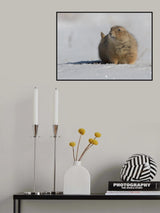A snow day in south Poster och Canvastavla