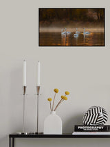 White Swan Lake Poster och Canvastavla