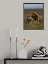 Poster och Canvastavla