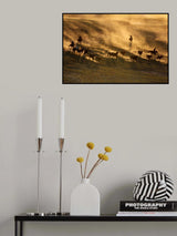 Sunset Run Poster och Canvastavla