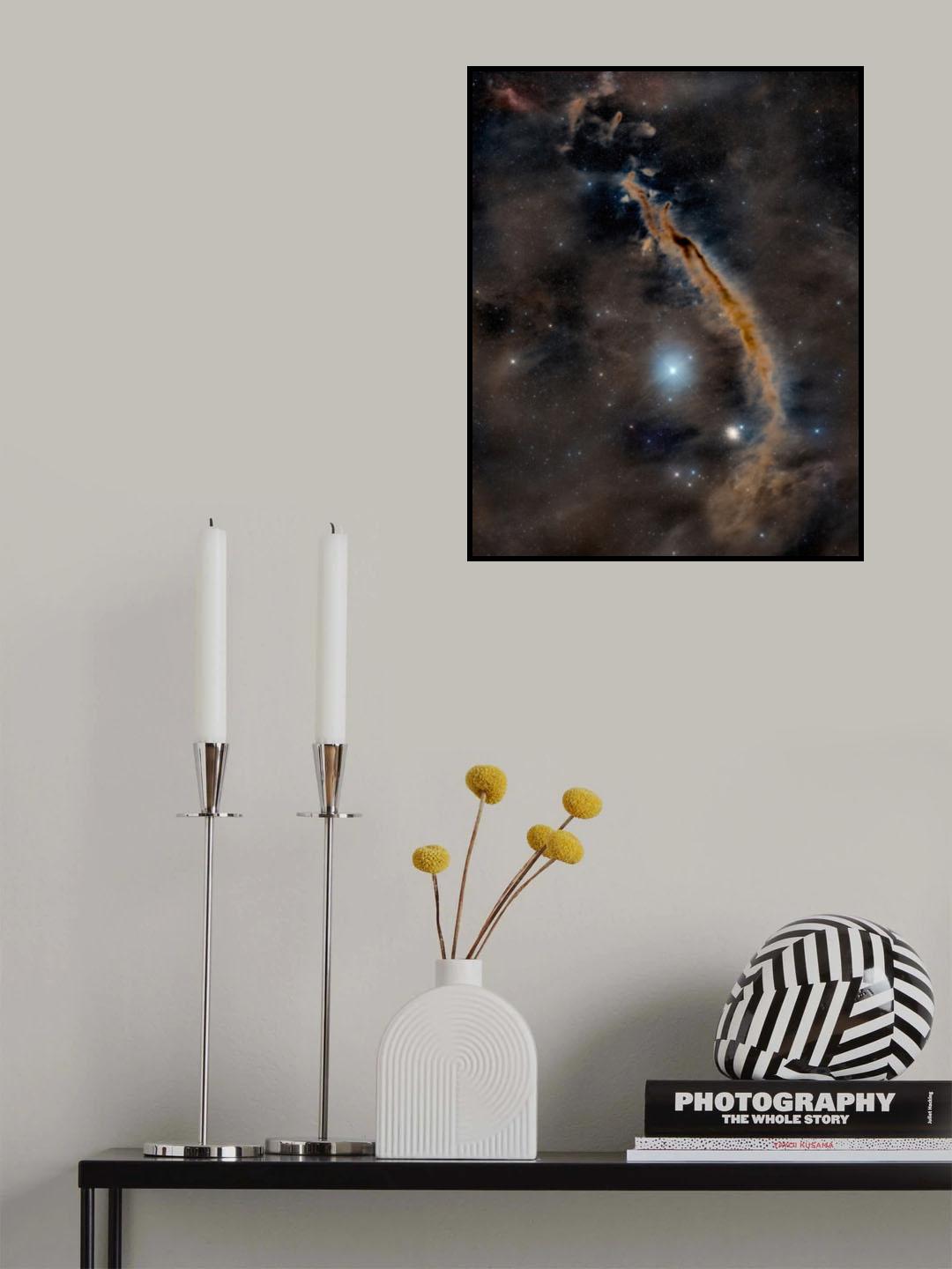 The Millipede Poster och Canvastavla