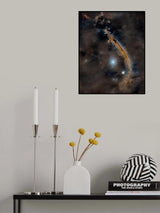 The Millipede Poster och Canvastavla
