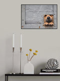 Benji\'s window Poster och Canvastavla