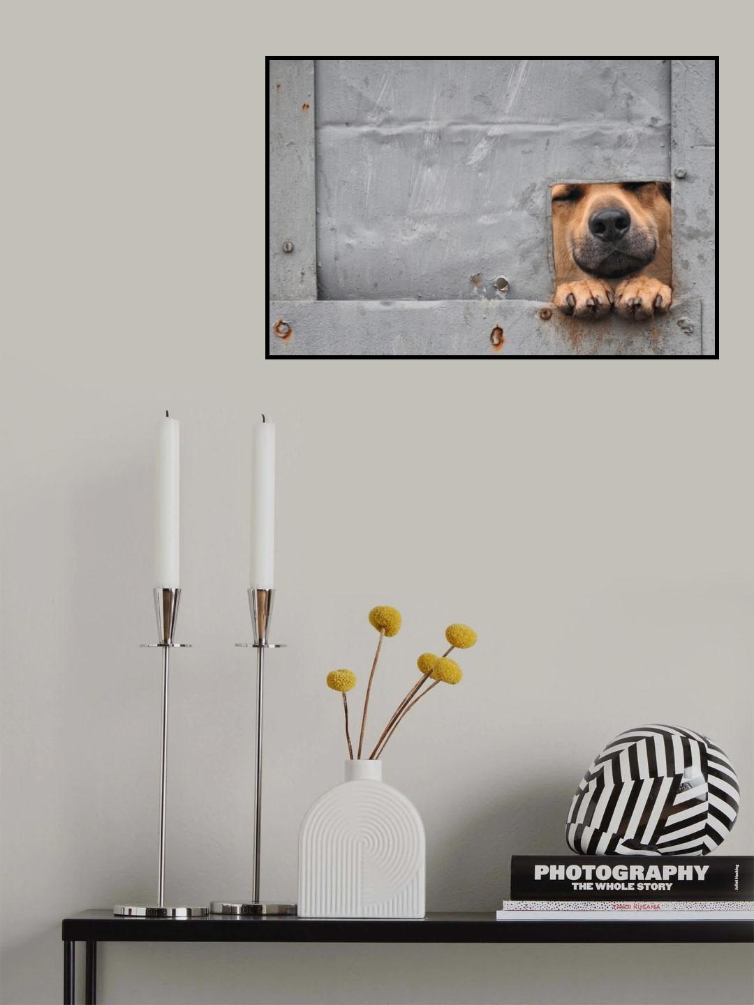 Benji\'s window Poster och Canvastavla