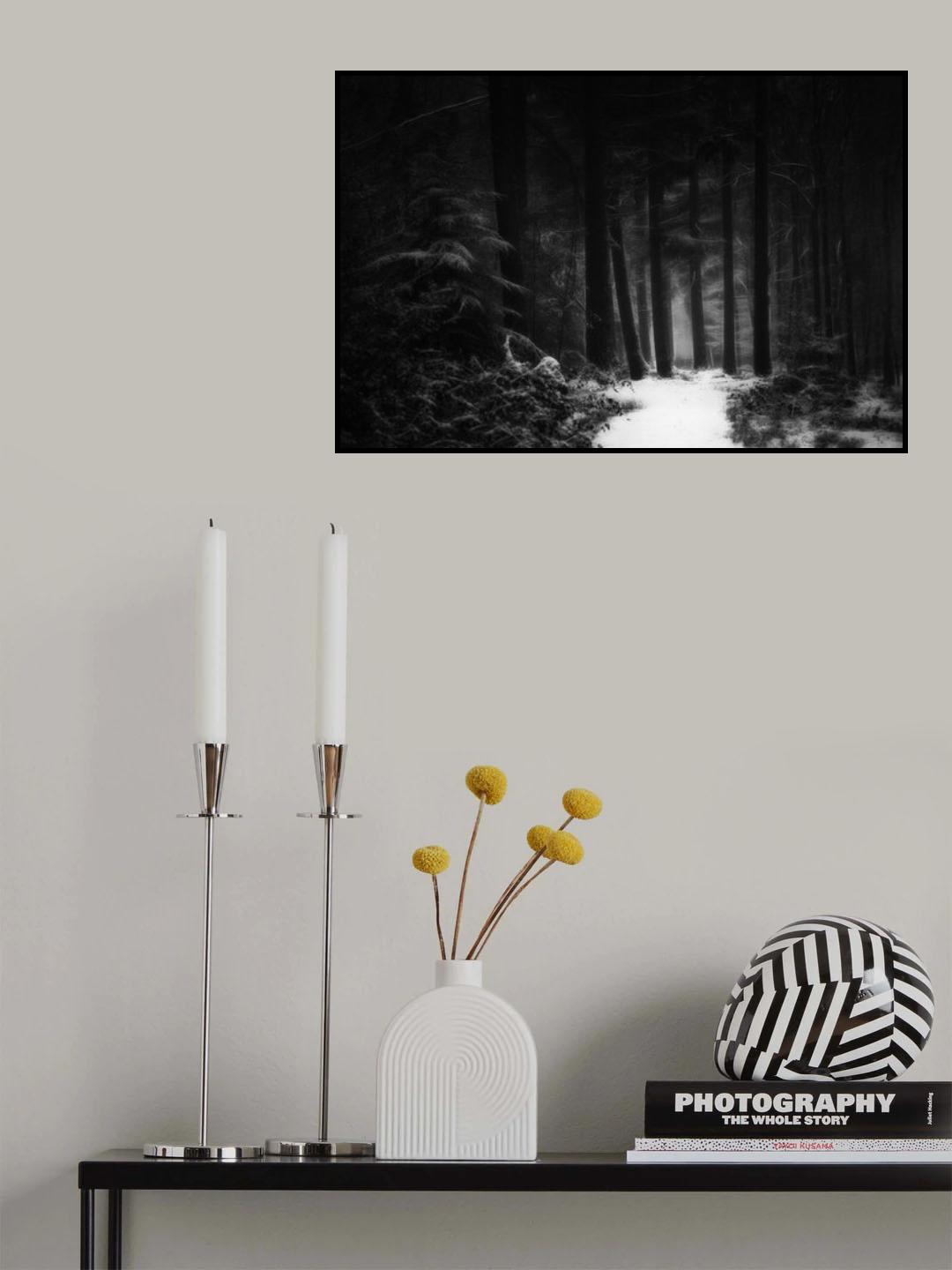 Winterland Poster och Canvastavla
