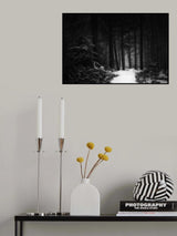Winterland Poster och Canvastavla