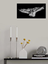 Snowy in the Rain Poster och Canvastavla
