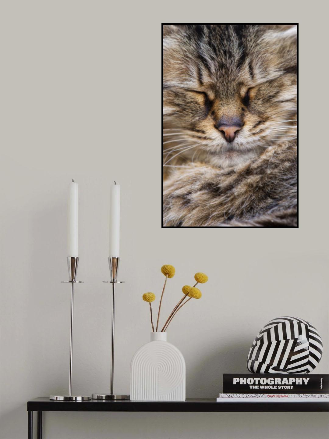 cute cat Poster och Canvastavla