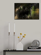 Horse pair marathon Poster och Canvastavla