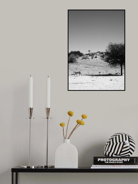 Loner Poster och Canvastavla