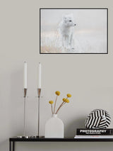 Looking around Poster och Canvastavla