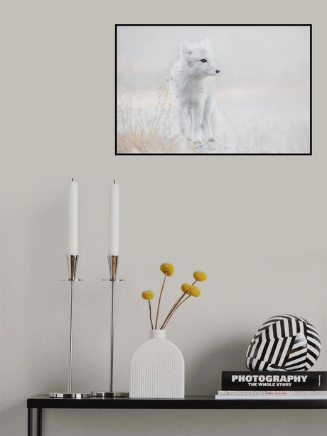 Looking around Poster och Canvastavla