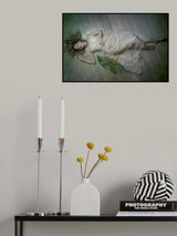 Poster och Canvastavla