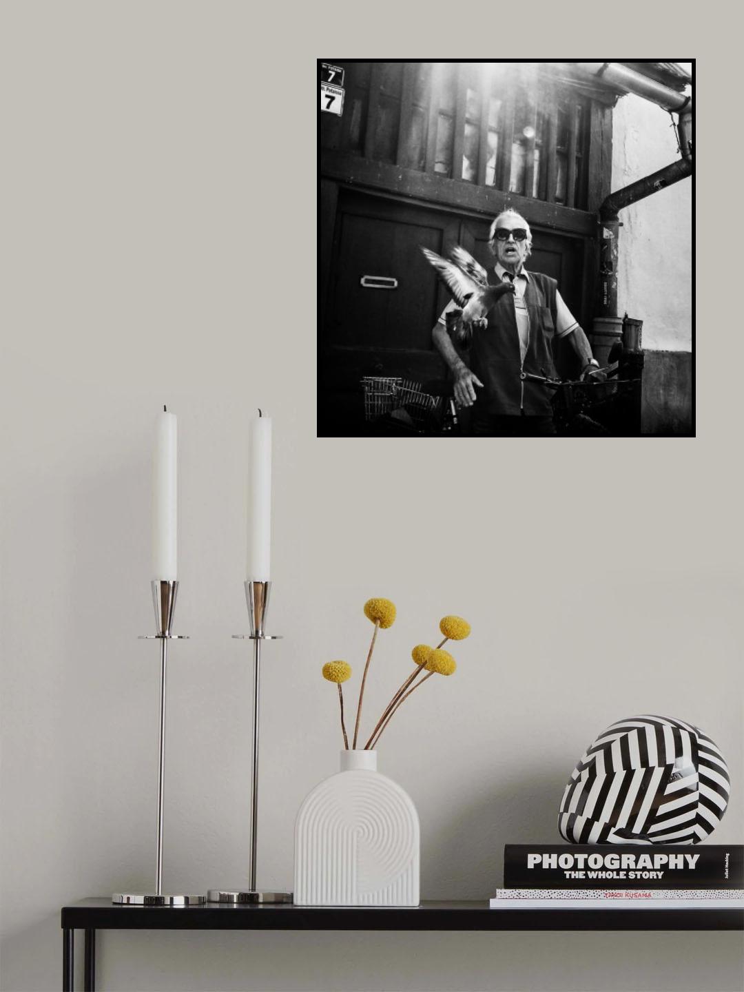 Fly Away Poster och Canvastavla