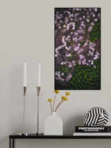 The road of flower Poster och Canvastavla