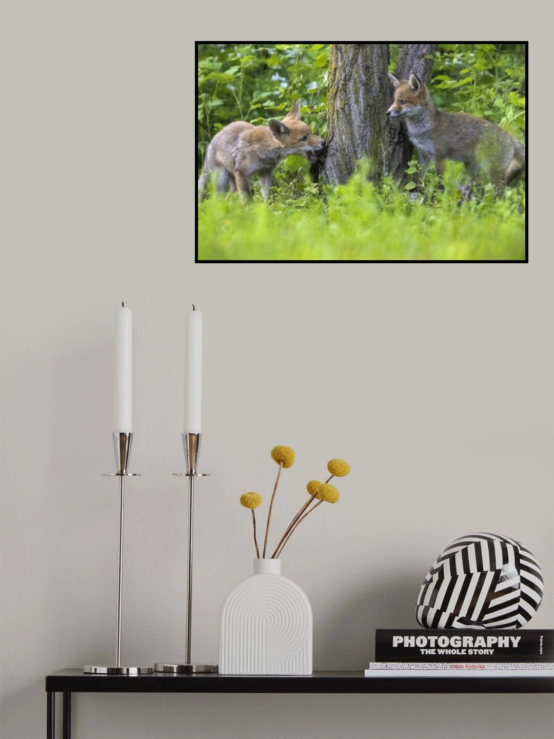 The first games Poster och Canvastavla
