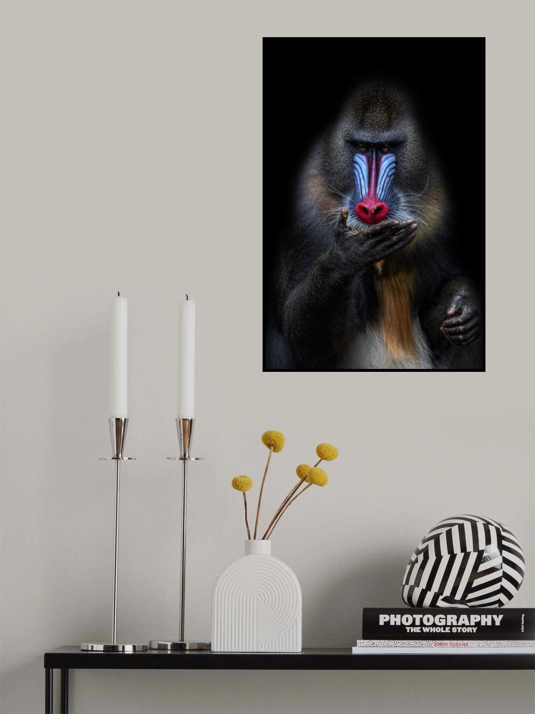 The Fortune Teller Poster och Canvastavla