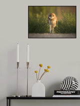 Walk like a Man! Poster och Canvastavla