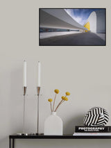 Niemeyer Poster och Canvastavla
