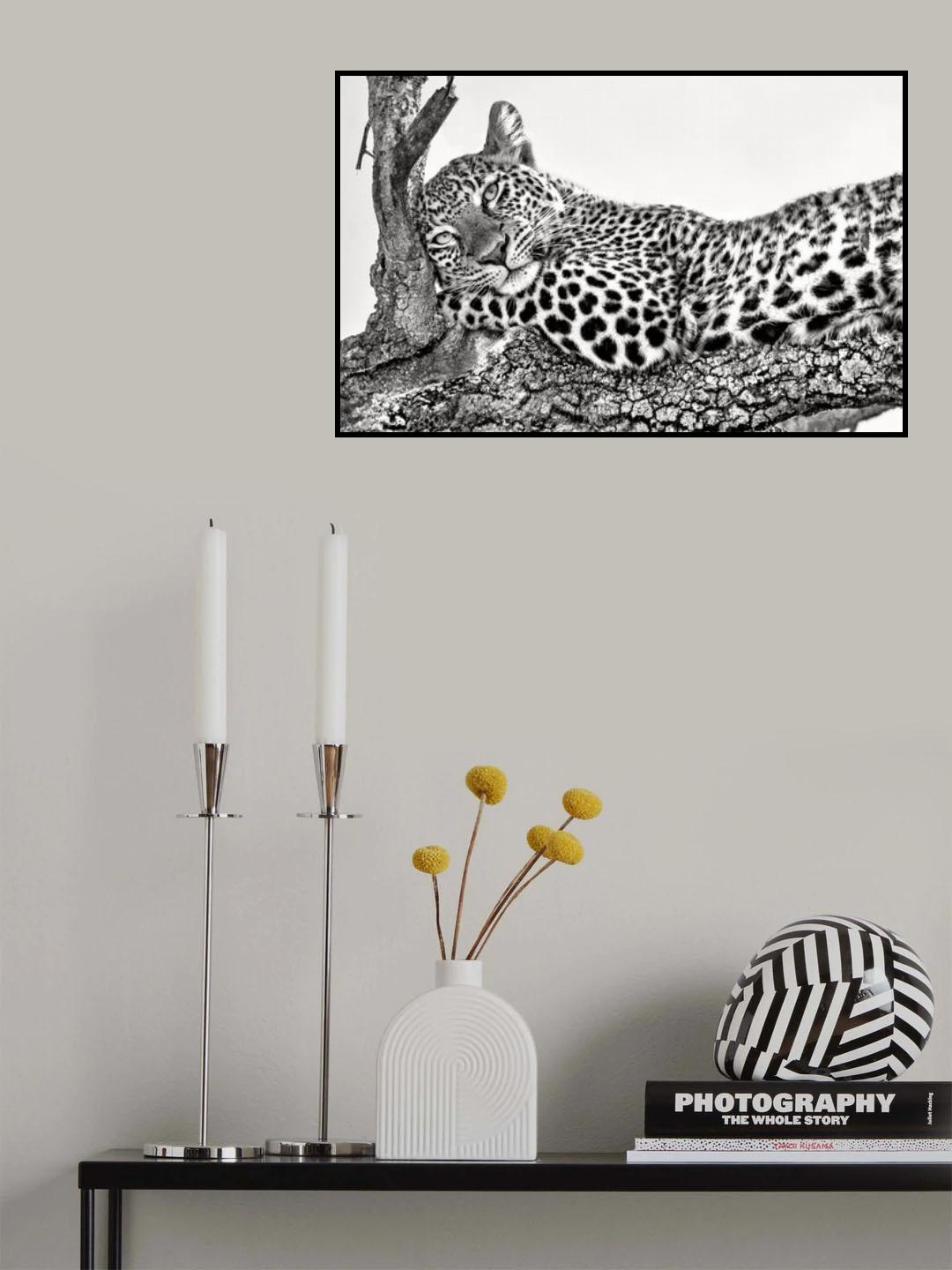 Time to rest Poster och Canvastavla