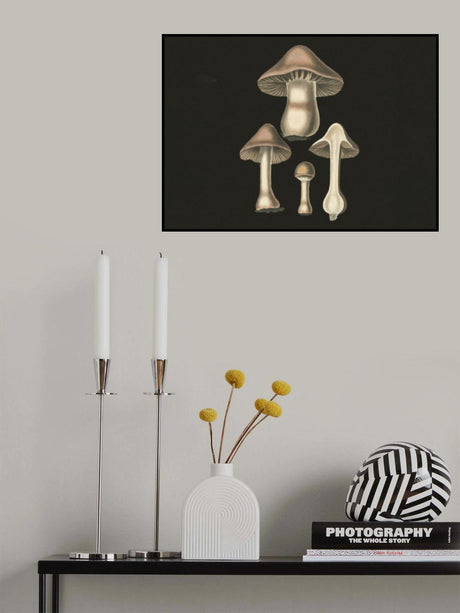 Agaricus Bulbosus  Dark Background Poster och Canvastavla