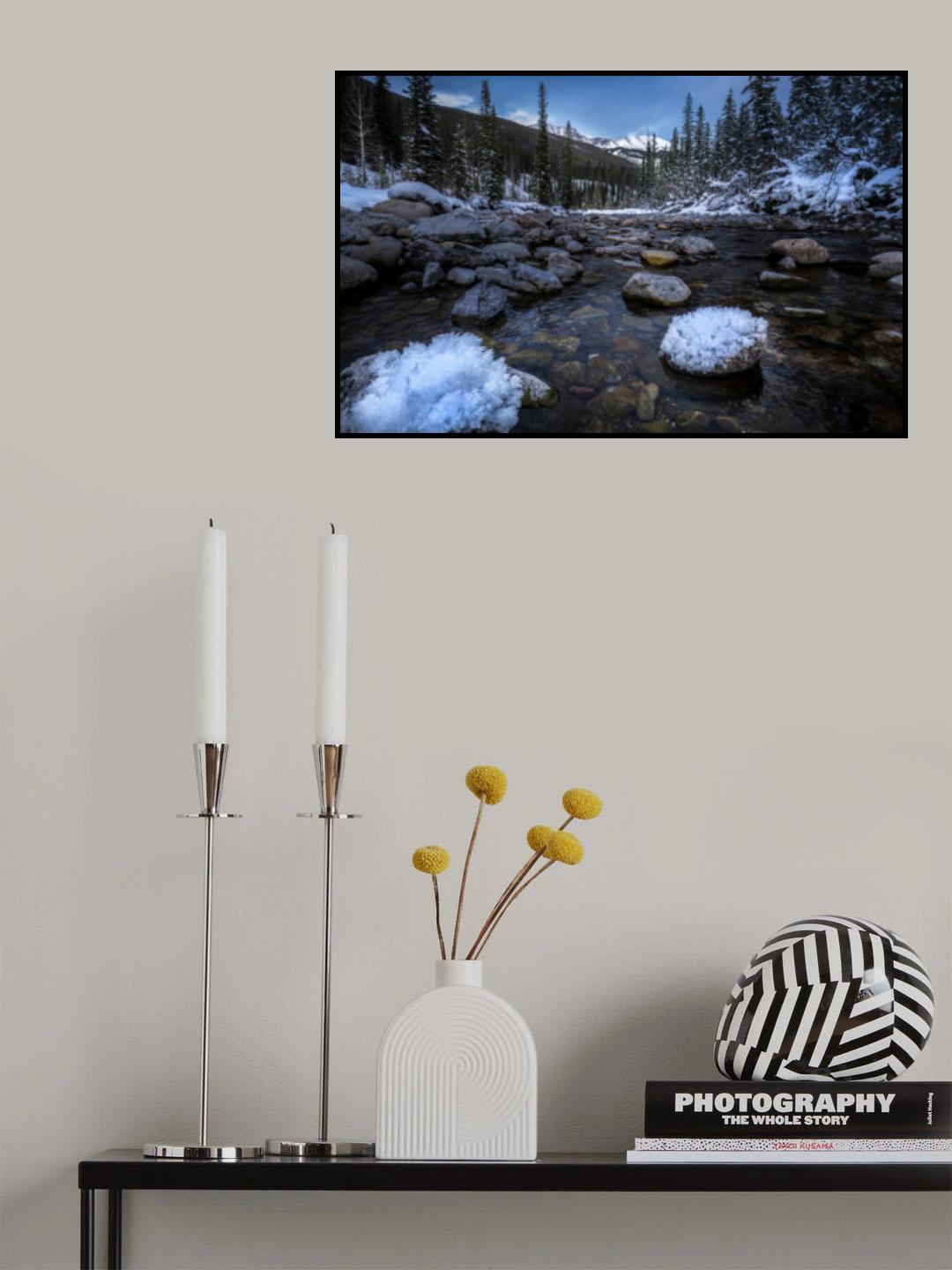 Jungle river Poster och Canvastavla